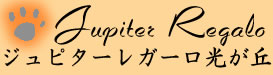 ジュピターレガーロ光が丘